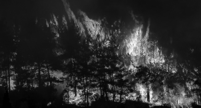 Orman Yangınlarının Gerçek Sebebi ve Sorumluluğumuz
